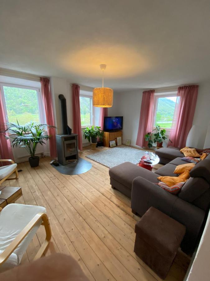 Helles, Gemuetliches Haus Mit Moselblick Villa Müden Buitenkant foto